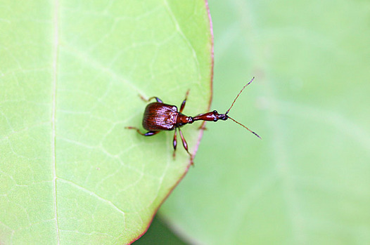 zaki-20130512-higenagaotoshibumi.jpg