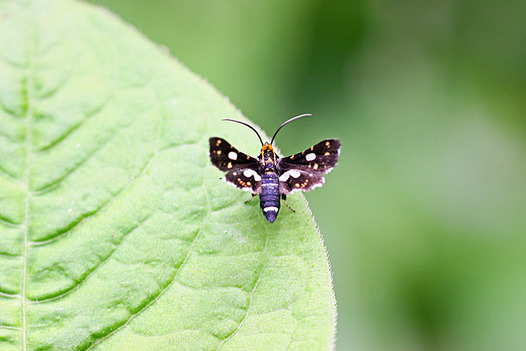 zaki-20130519-madoga.jpg