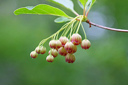 zaki-20130523-sarasadodan.jpg