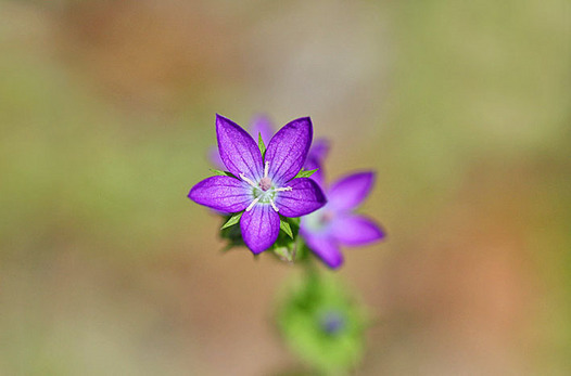 zaki-20130528-kikyoso.jpg