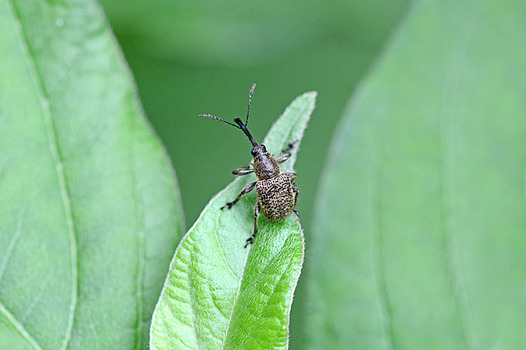 zaki-20130624-haiirochokiri.jpg