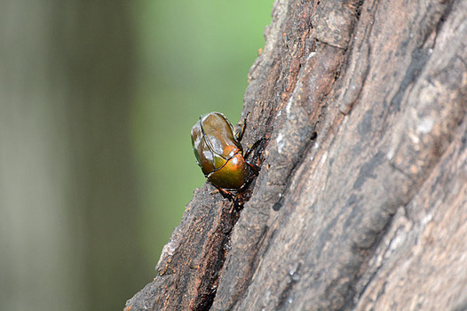 zaki-20130703-kanabun.jpg