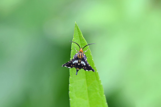 zaki-20130718-madoga.jpg