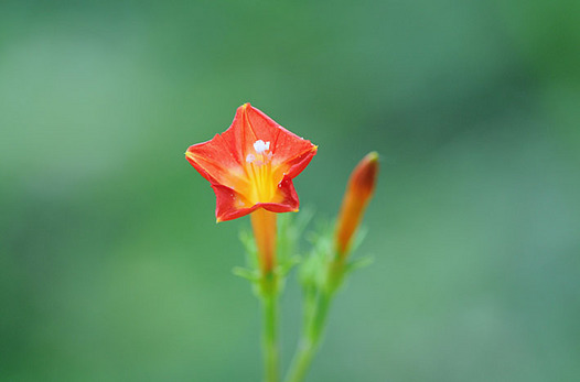 zaki-20130810-marubarukoso.jpg