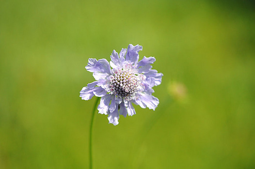 zaki-20130818-matsumushiso.jpg