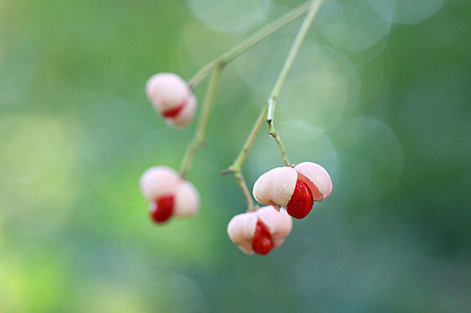 zaki-20131117-mayumi-mi.jpg