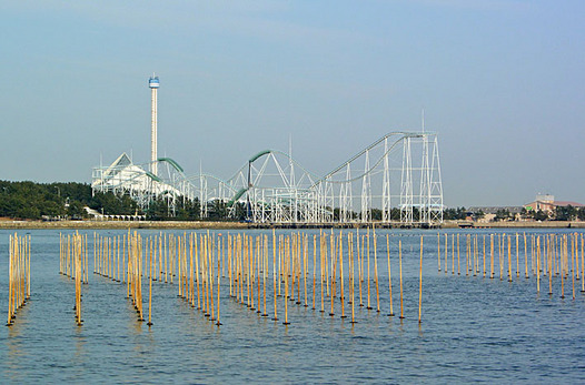 zaki-20140217-hakeijima.jpg