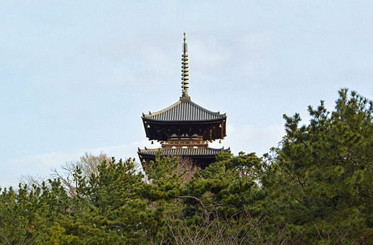 zaki-20140218-sankeien.jpg