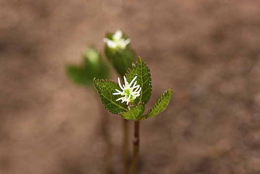 zaki-20140413-hitorishizuka.jpg