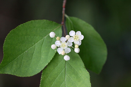 zaki-20140428-kamatsuka.jpg