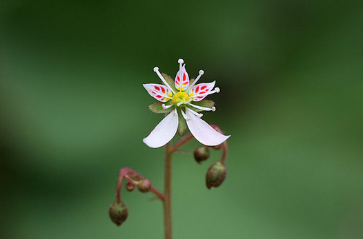 zaki-20140525-yukinoshita.jpg