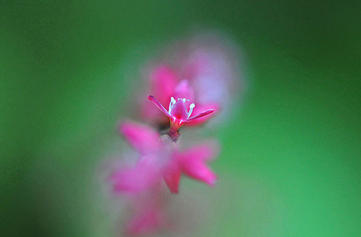 zaki-20140902-mizuhiki.jpg