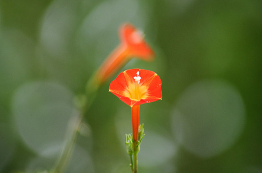 zaki-20140904-marubarukoso.jpg