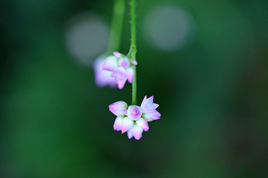 zaki-20140916-mamakonoshirinugui.jpg