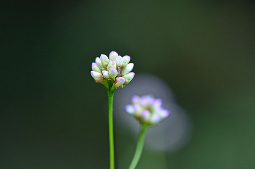zaki-20141018-akinounagizukzmi.jpg