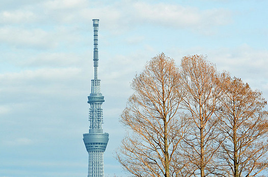 zaki-20150227-skytree.jpg